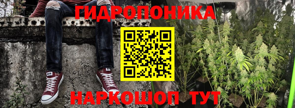Каннабис White Widow  Шишки марихуана конопля  Новотроицк  Шишки марихуана сатива  Вход с VPN  МАРИХУАНА семена 